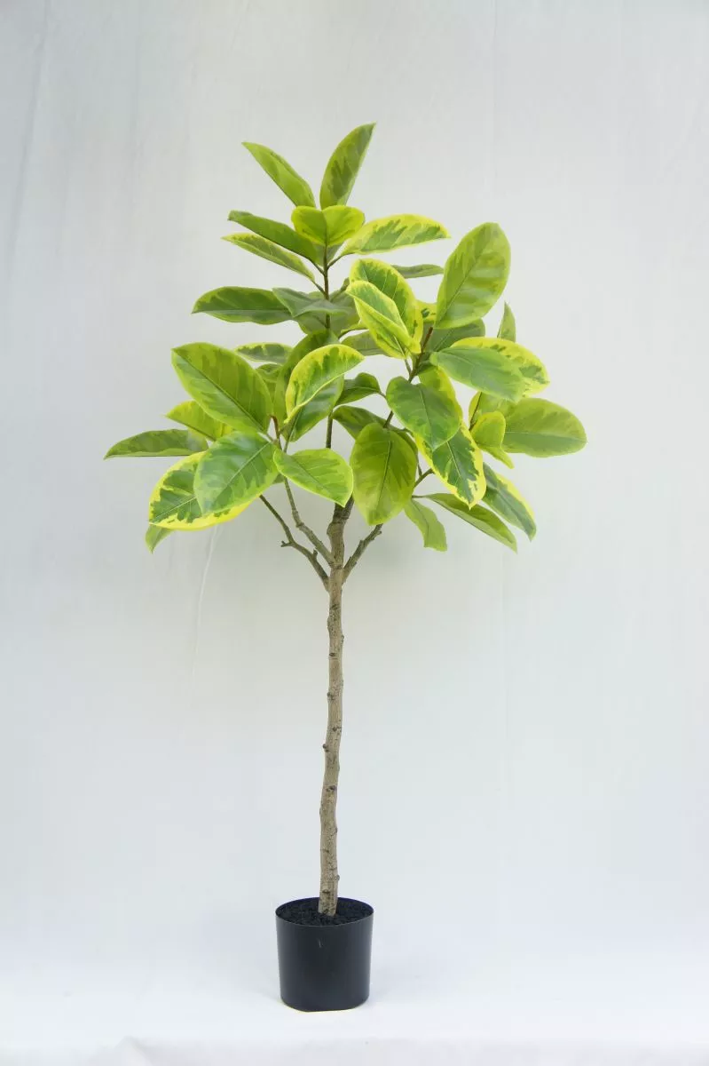 Artificial Lifelike Ficus Altissima, 150CM